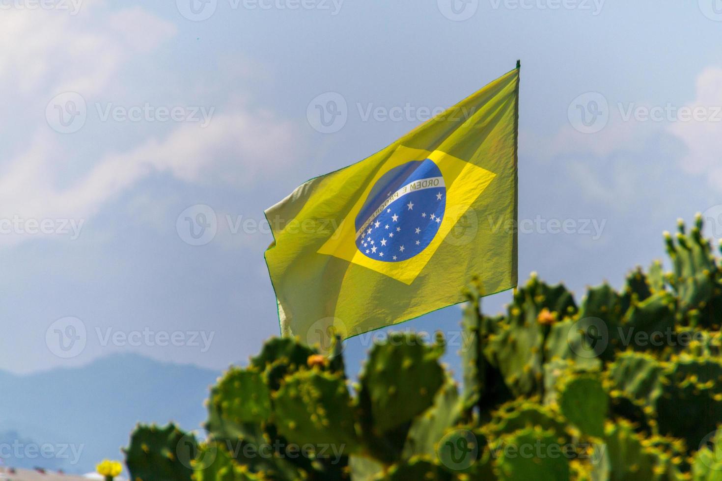 vlag van Brazilië vervaagde buiten boven een cactusboom op een strand in rio de janeiro. foto