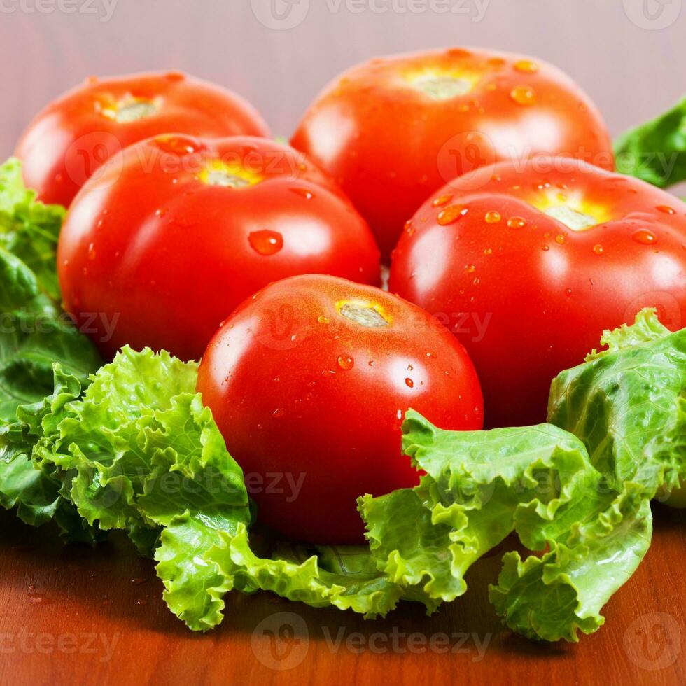 vers rood tomaten detailopname foto