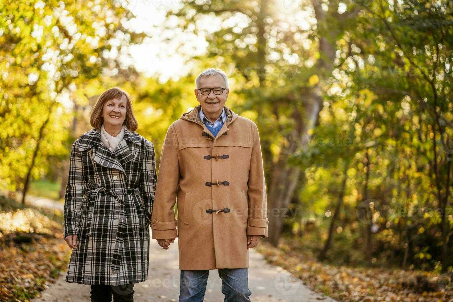 een senior paar uitgeven tijd samen in de park foto