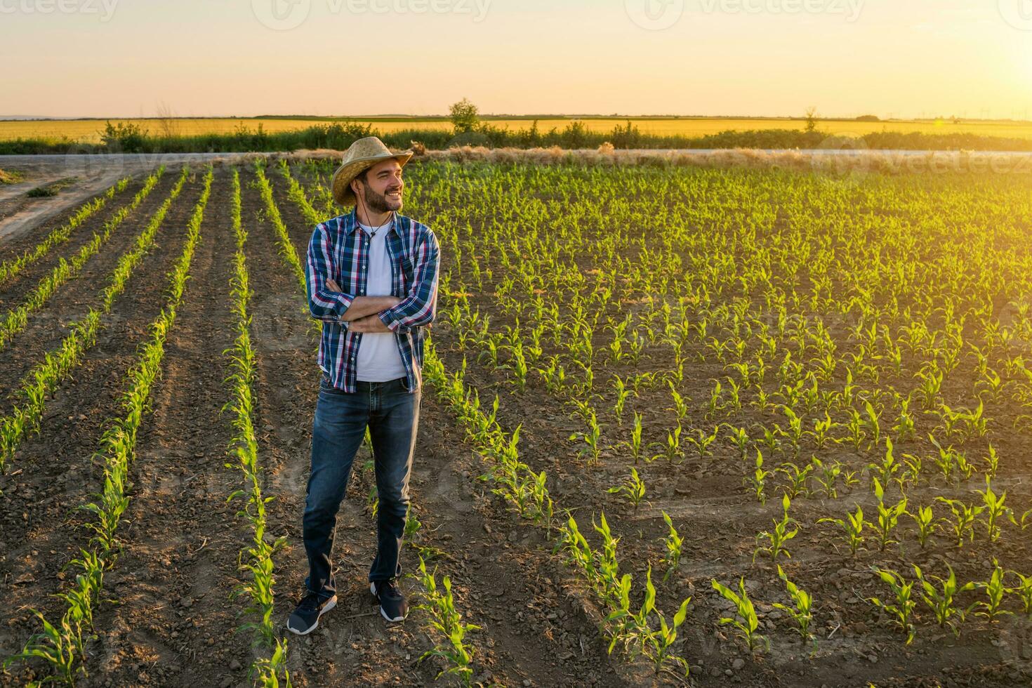 boer staand in een maïs veld- foto