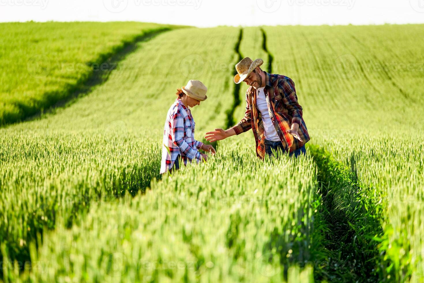 Mens en vrouw zijn werken samen in vennootschap foto