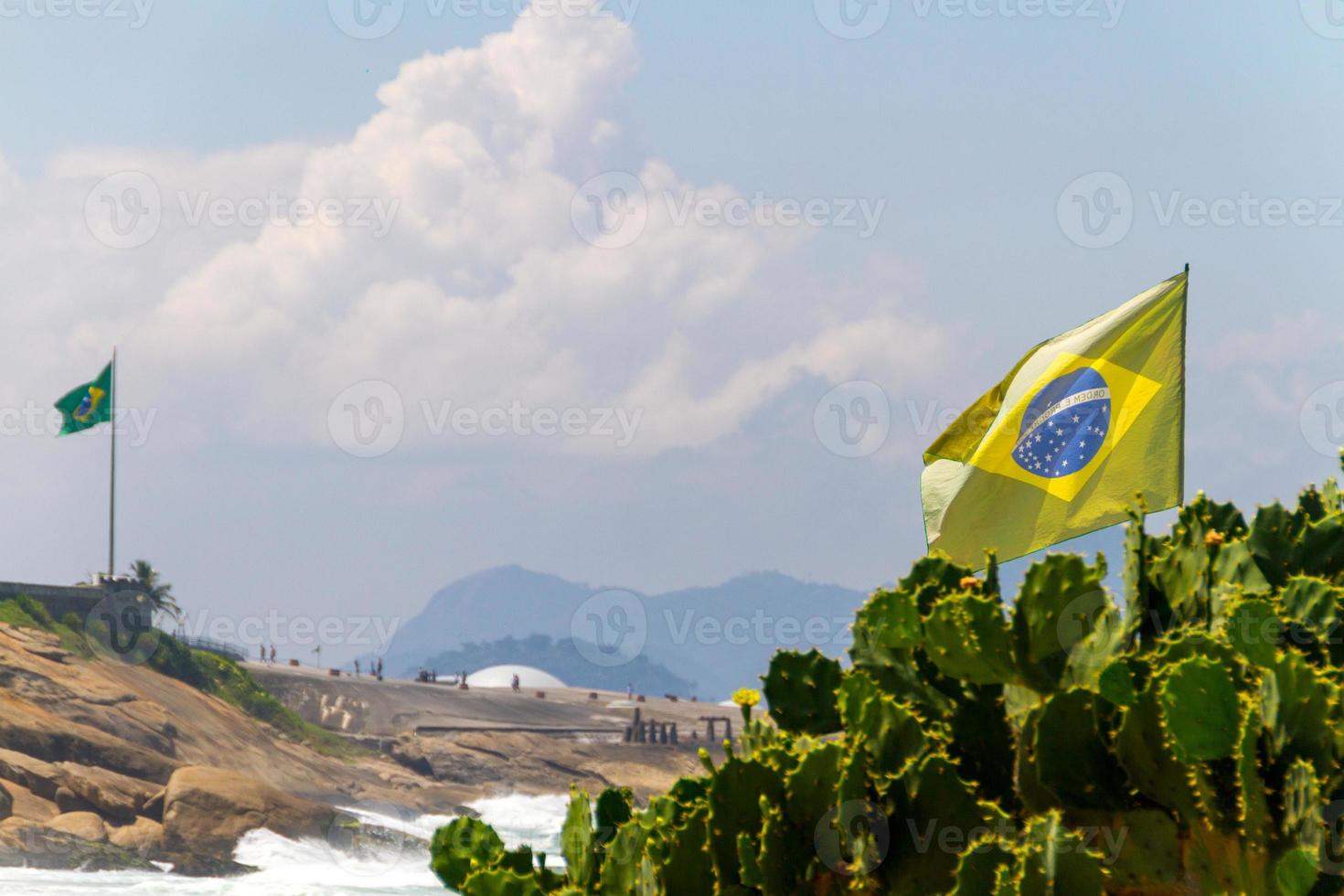 vlag van brazilië buiten boven een cactusboom op een strand in rio de janeiro foto
