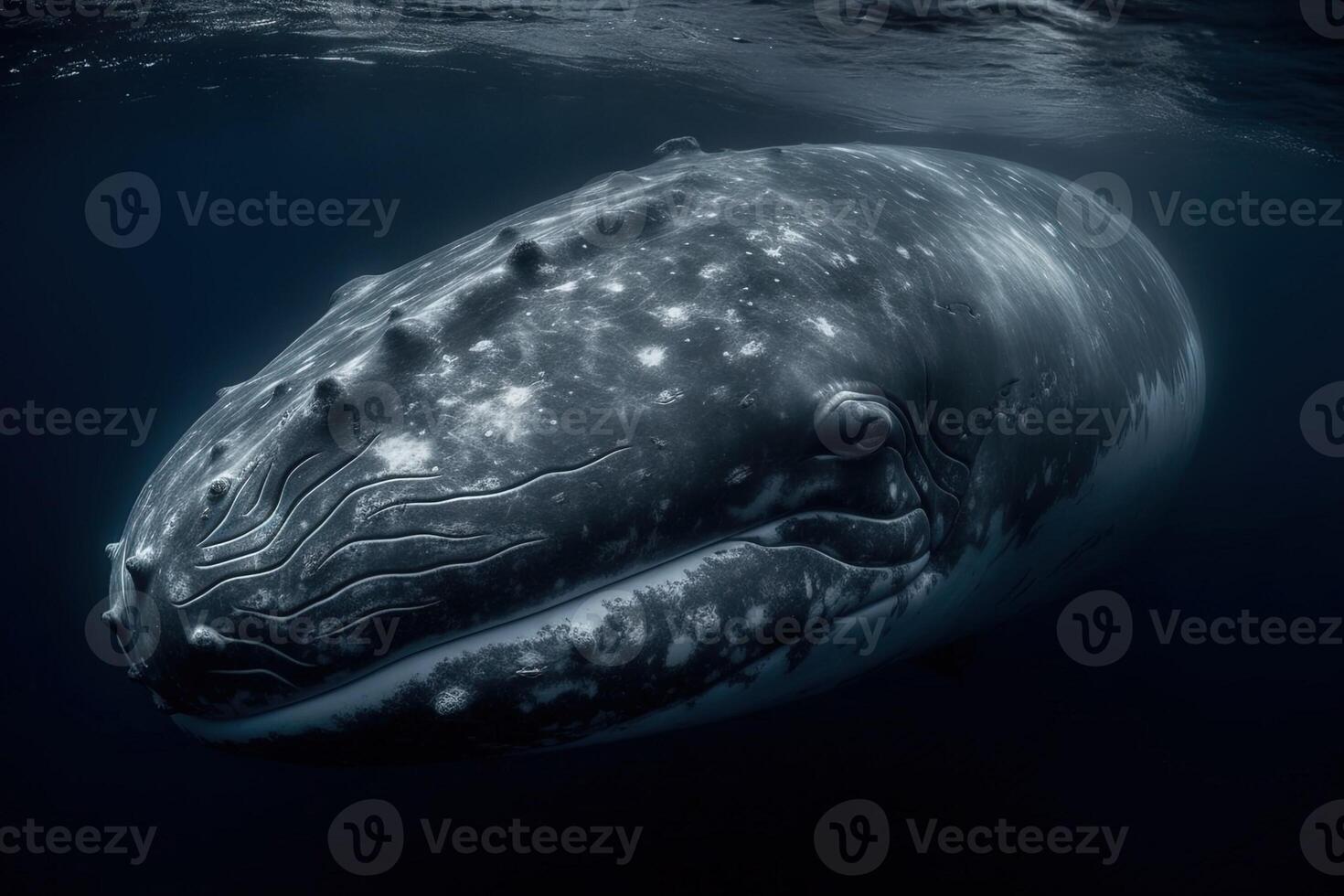 slapen gebochelde walvis illustratie illustratie generatief ai foto