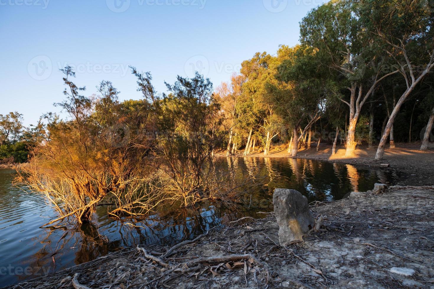 athalassa meer cyprus met prachtig verlicht water en bomen op een mooie zonnige middag foto