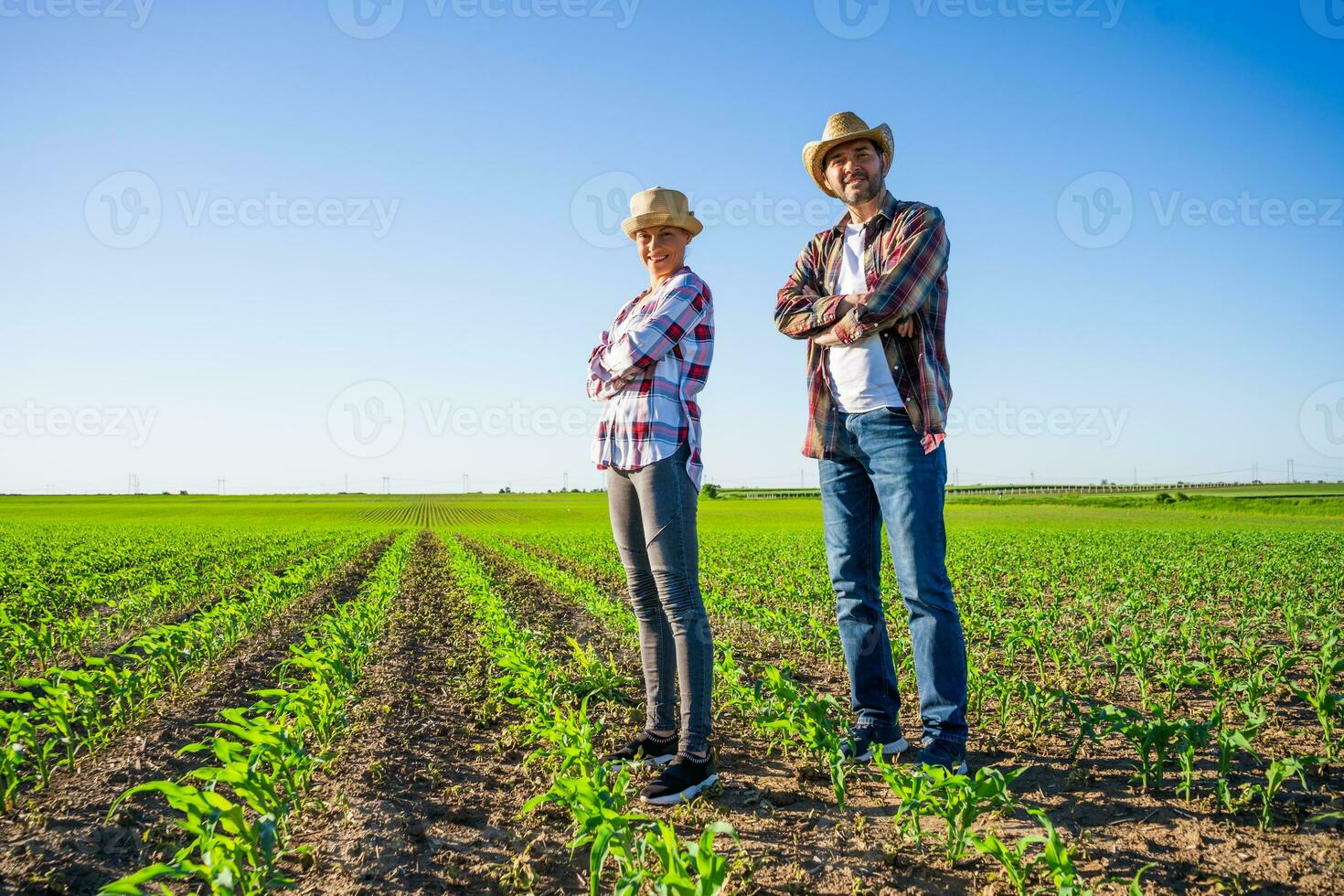 boeren staand in een maïs veld- foto