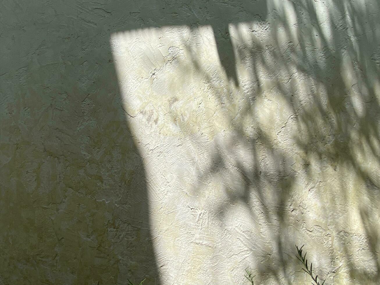 bladeren schaduw achtergrond Aan beton muur textuur, bladeren boom takken schaduw met zonlicht foto