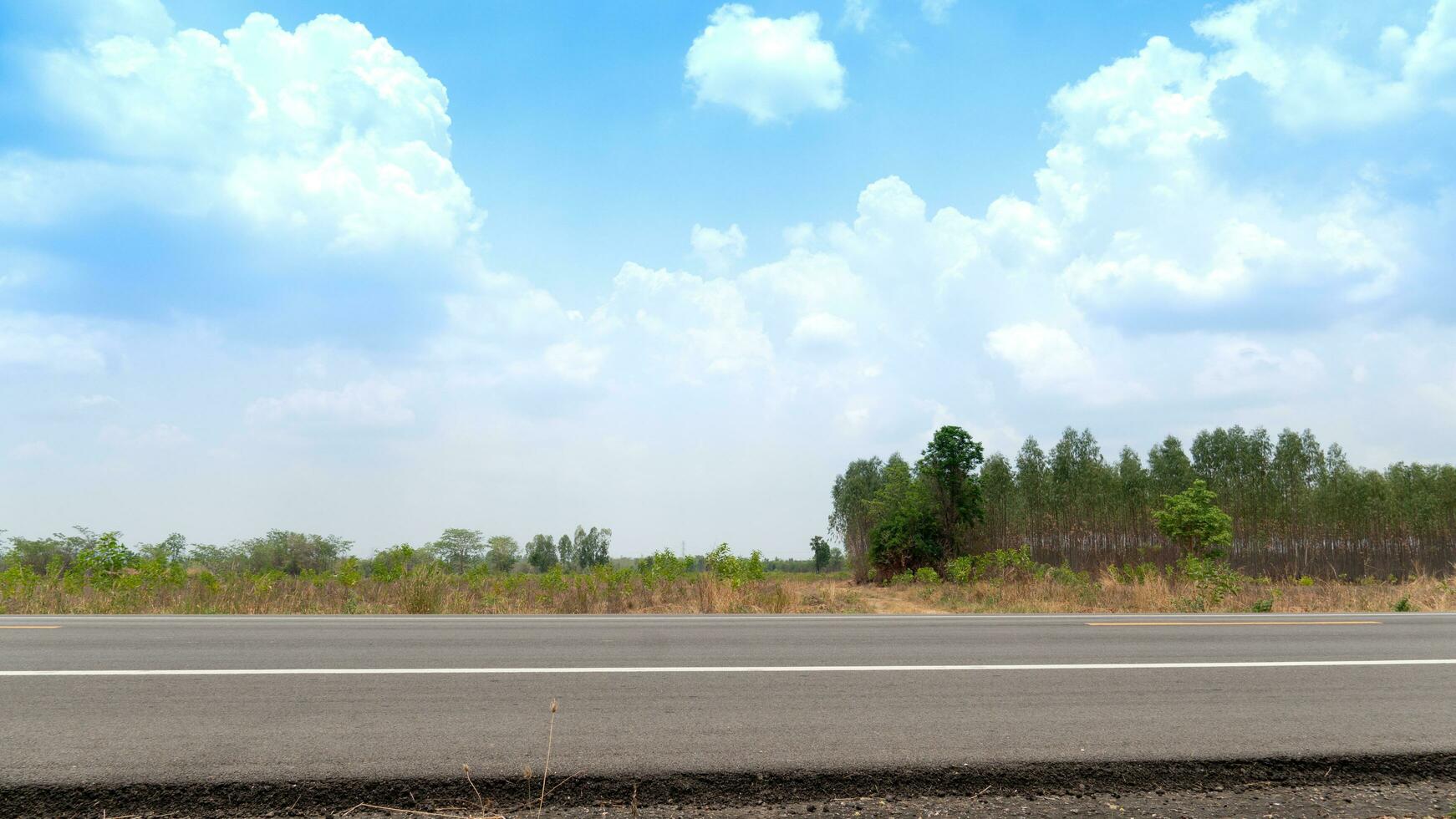 horizontaal visie van asfalt weg in Thailand. achtergrond leeg land- en kant eucalyptus Woud. onder de blauw lucht. foto