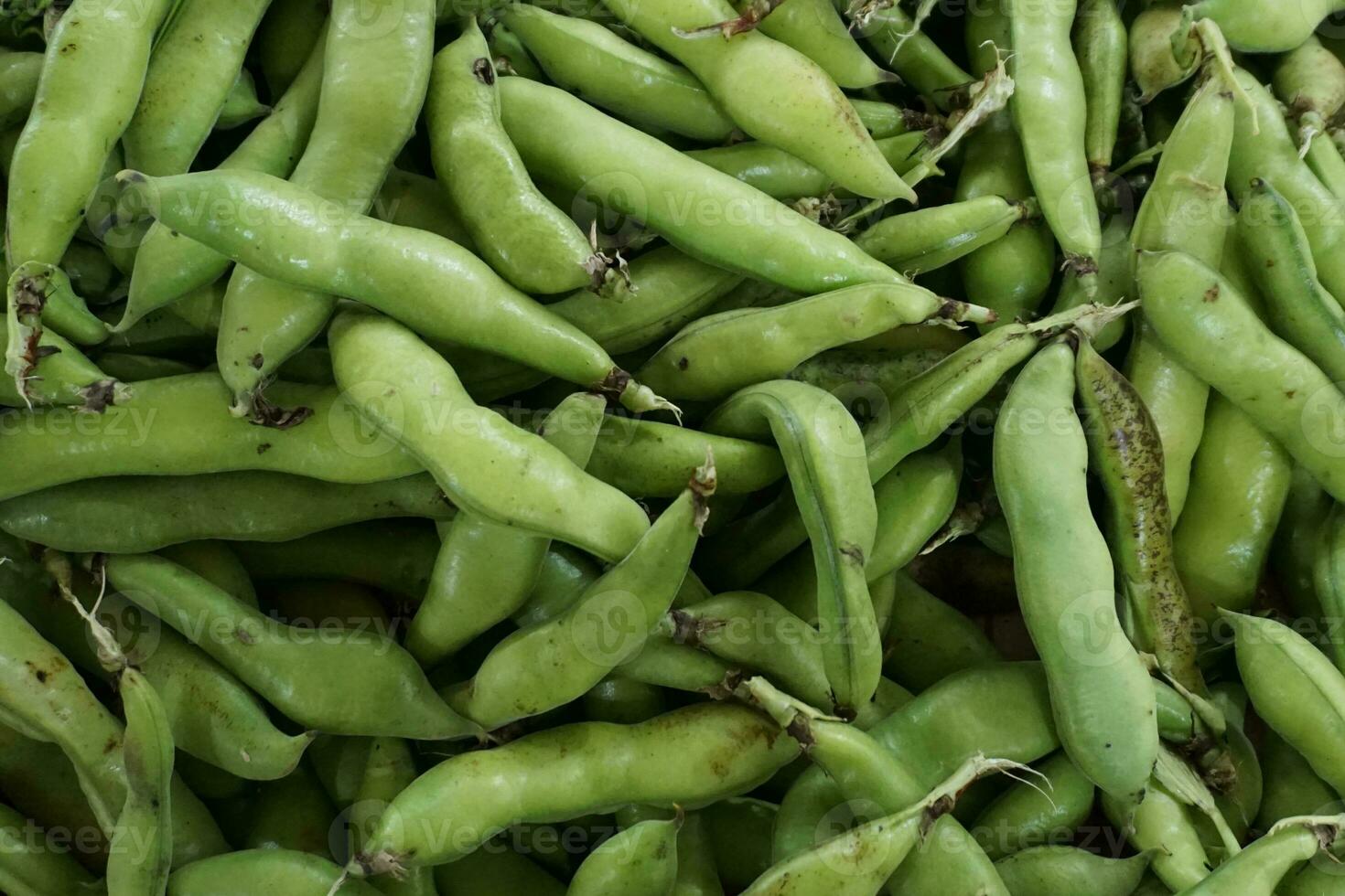 biologisch fava Boon peulen Aan Scherm Bij markt foto