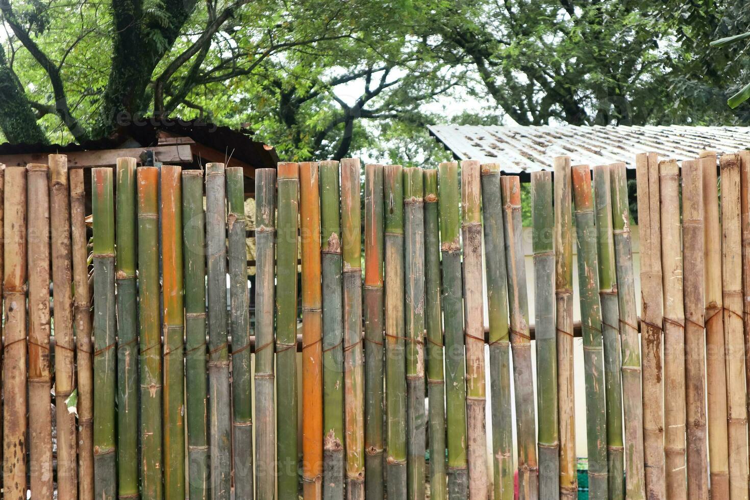 bamboe hek achtergrond wijnoogst kleur foto