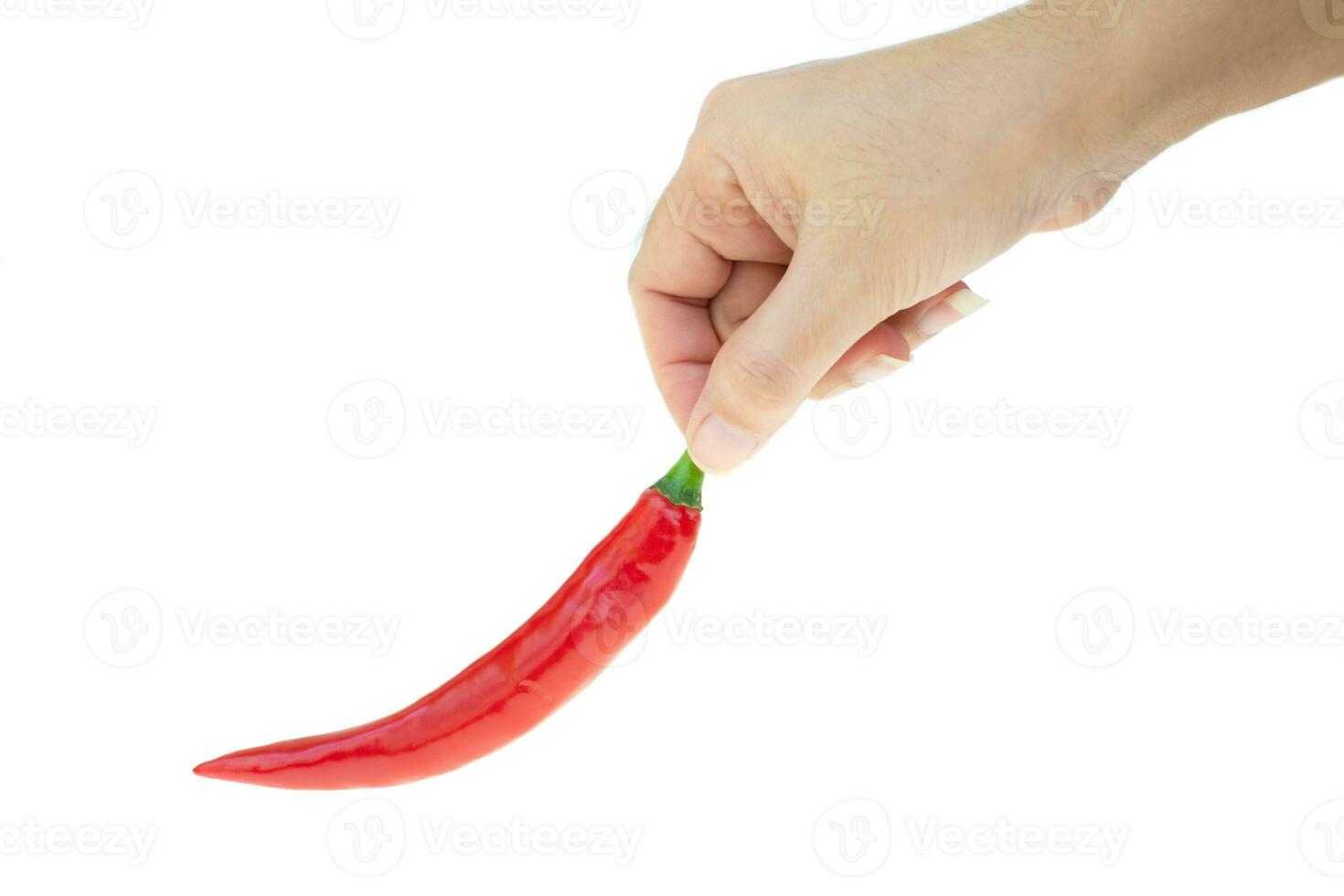 red hot chili aansporing peper op de hand van een dame geïsoleerd op een witte achtergrond foto