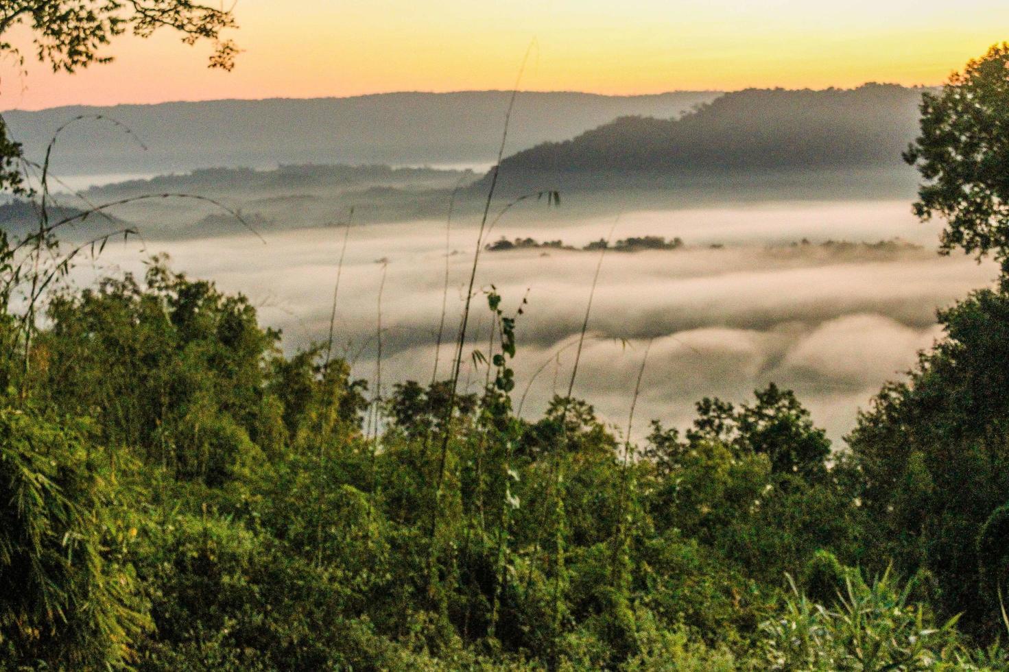 ochtendzonlicht bij de mekong rivier, sangkhom district, thailand foto