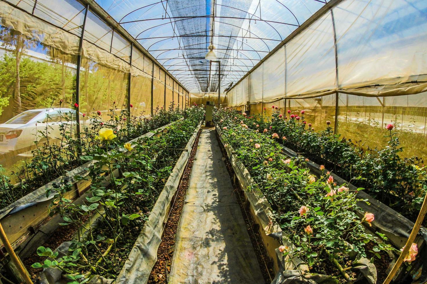 glazen huis in doi ang khang, chiang mai, thailand foto