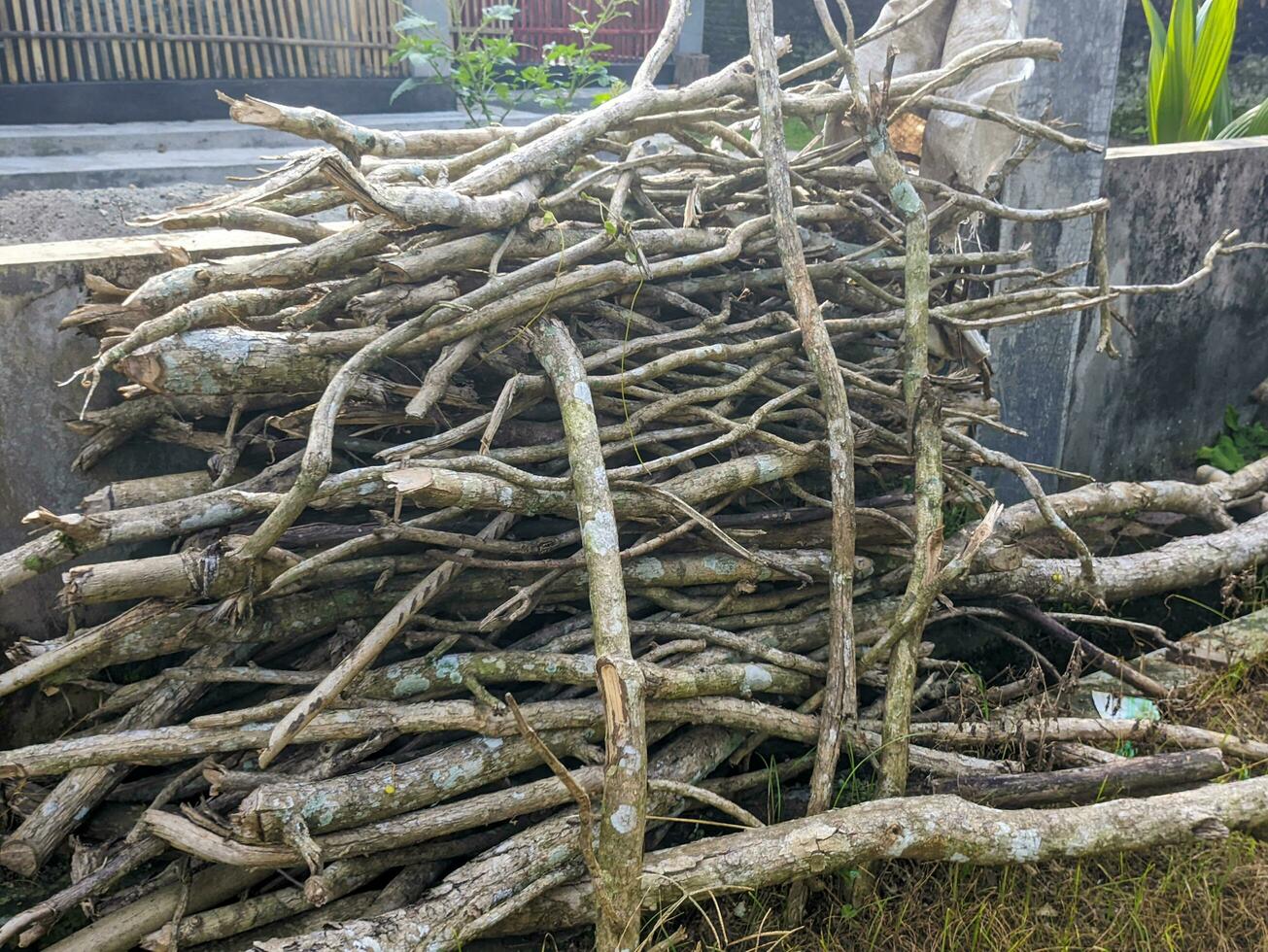 een stapel van stukken van hout takken foto