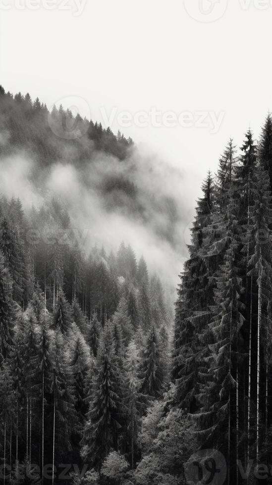 berg Woud met de nevel en mist. ai generatief foto