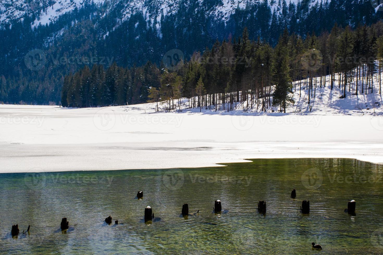 alpine meer in het bos foto