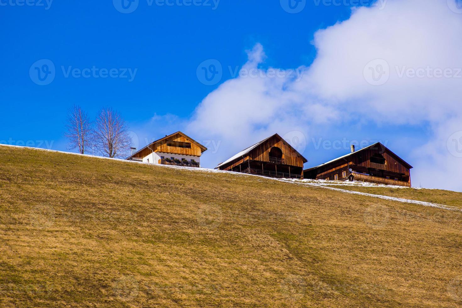 drie typische huizen van trentino foto