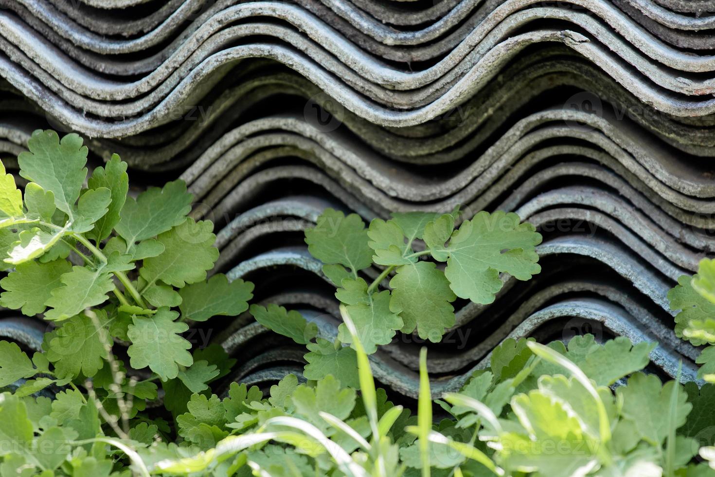 een stapel gevouwen leistenen platen die in het gras ligt foto