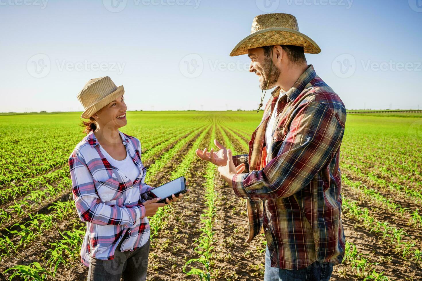 Mens en vrouw zijn werken samen in vennootschap. ze zijn cultiveren maïs. foto