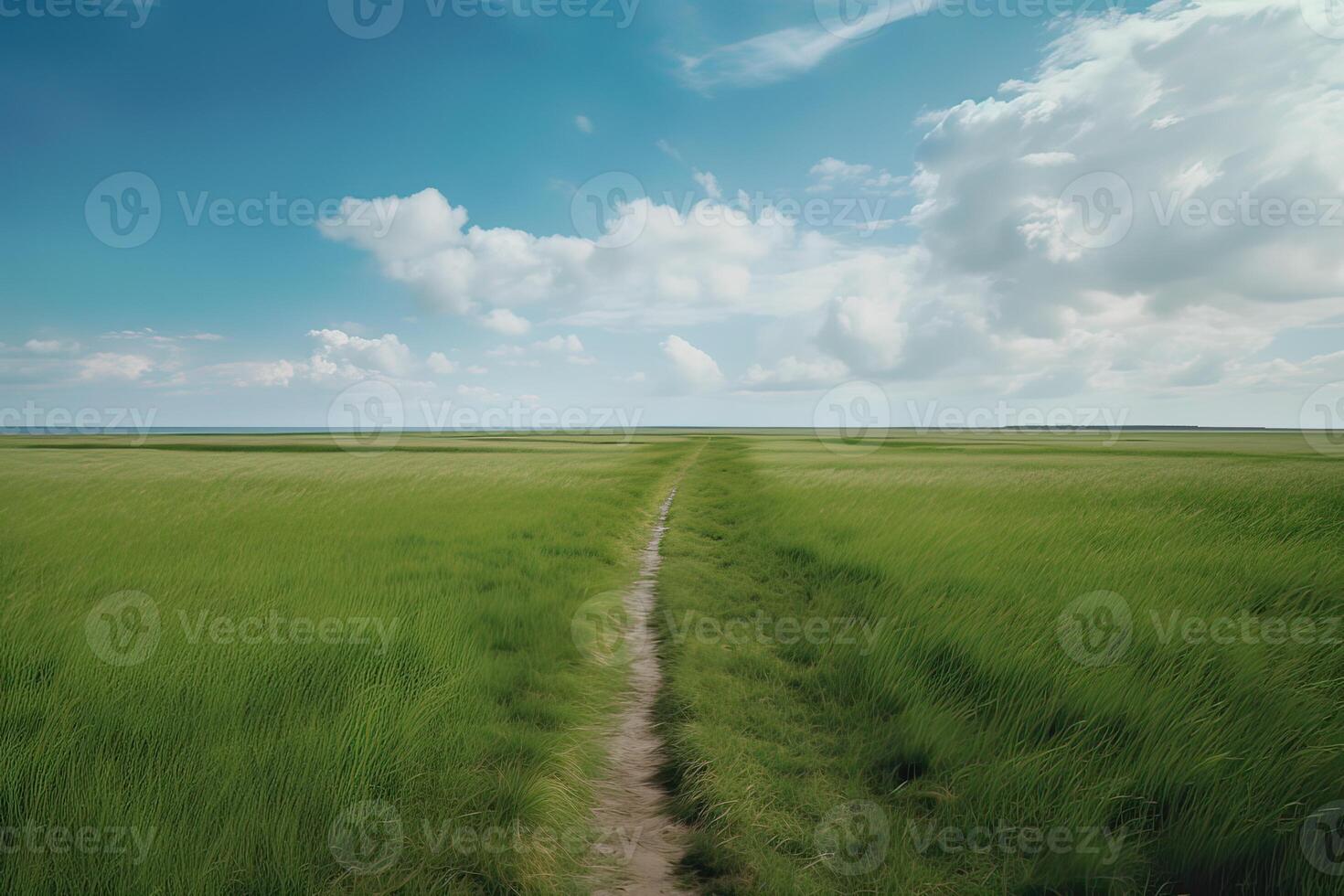 de landschap van gras velden en blauw lucht weg leidend uit in de afstand. generatief ai. foto