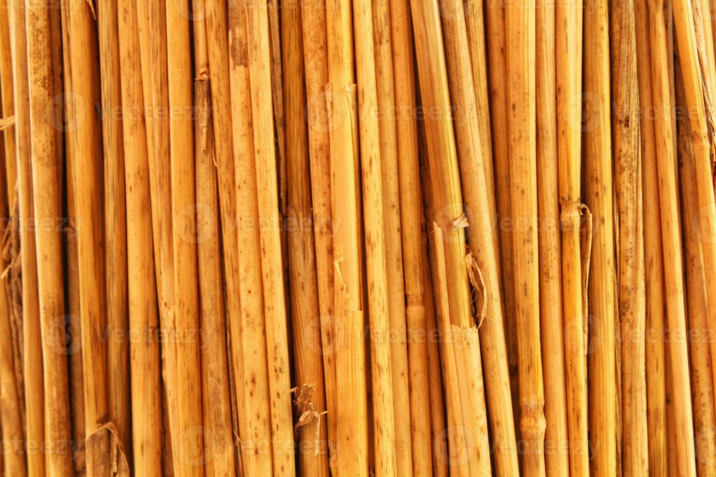 tarwe stengels geel droog rietje structuur achtergrond. rijp besnoeiing stam planten. droog riet stokken. twijgen hout takken. bamboe plank hek eco textuur. droog rivier- stokken. gevouwen riet. natuurlijk materiaal decor foto
