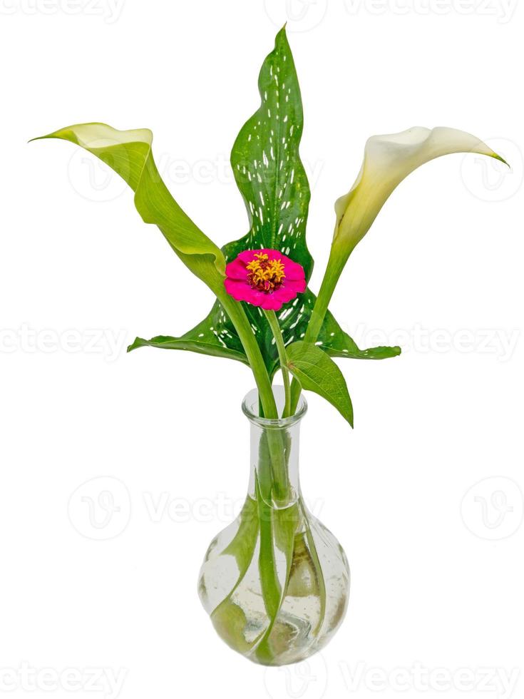 boeket van calla zinnia en ladys mantel geïsoleerd op wit foto