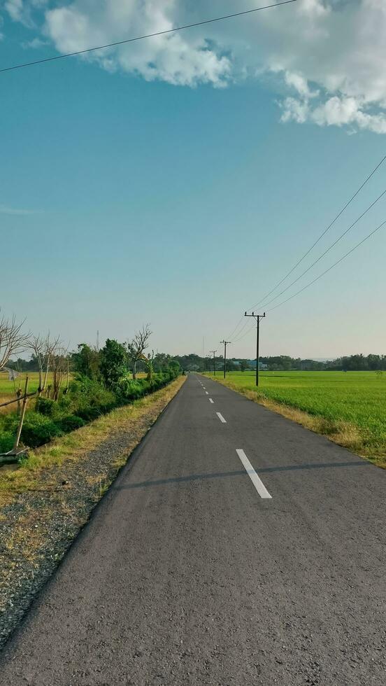 asfalt weg en groen rijst- veld- foto