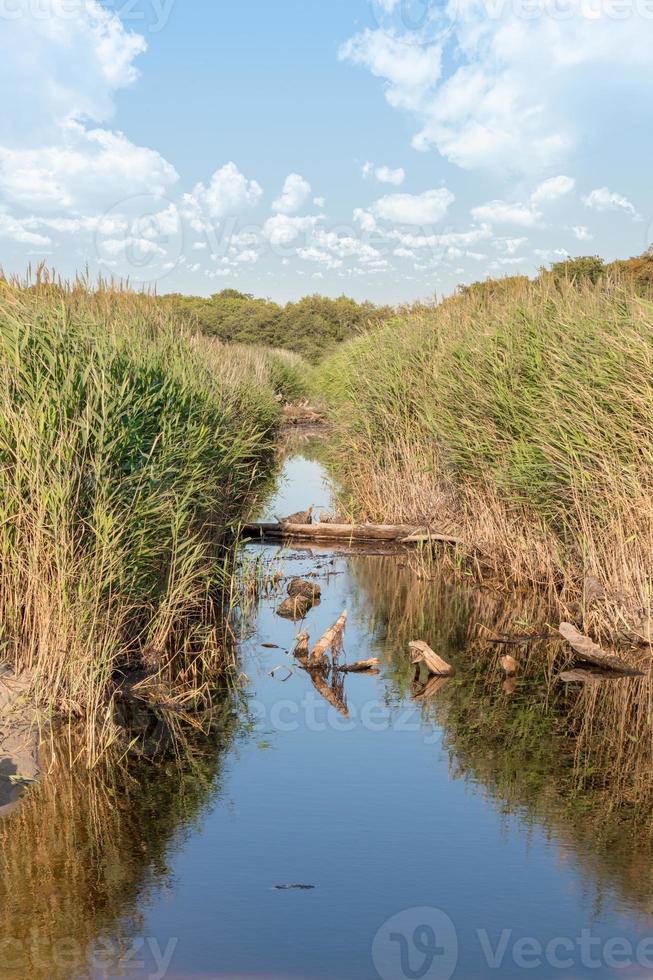 afvoerkanaal aan de Oostzeekust in de buurt van Darss in Duitsland met riet en gras foto