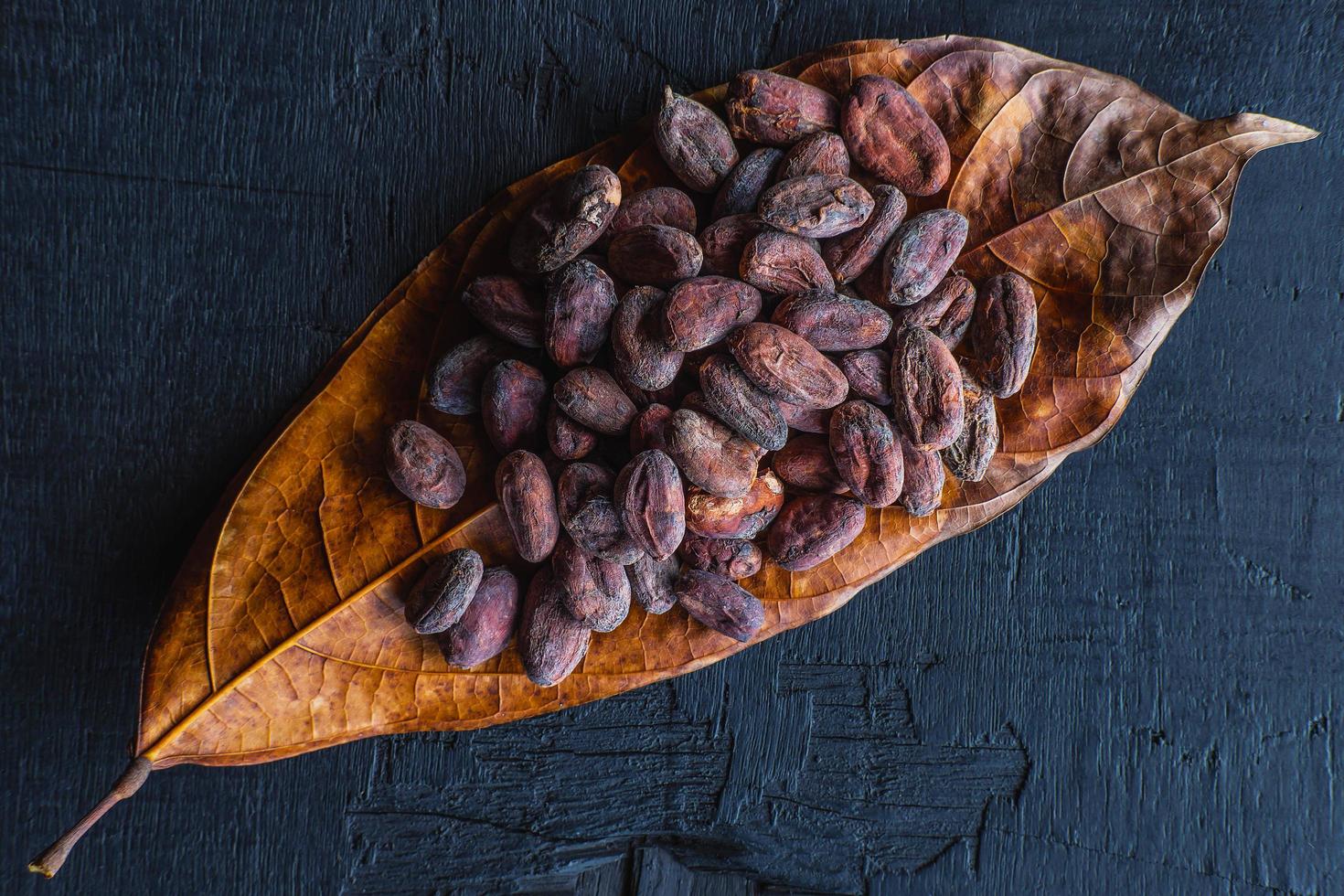 gedroogde cacaobonen op cacaobladeren foto