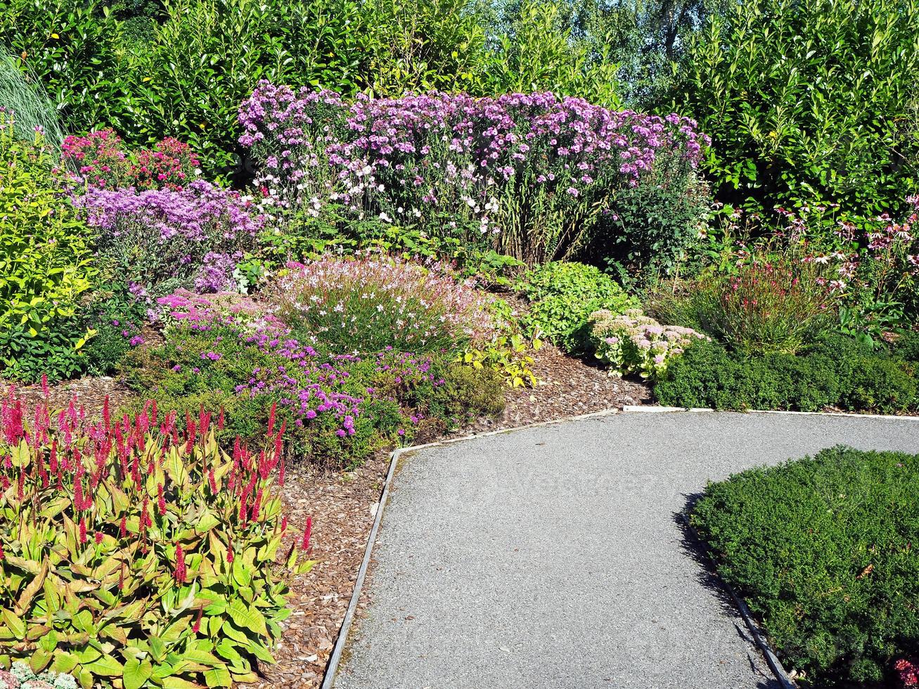 pad door gemengde bloemenborders in een tuin foto