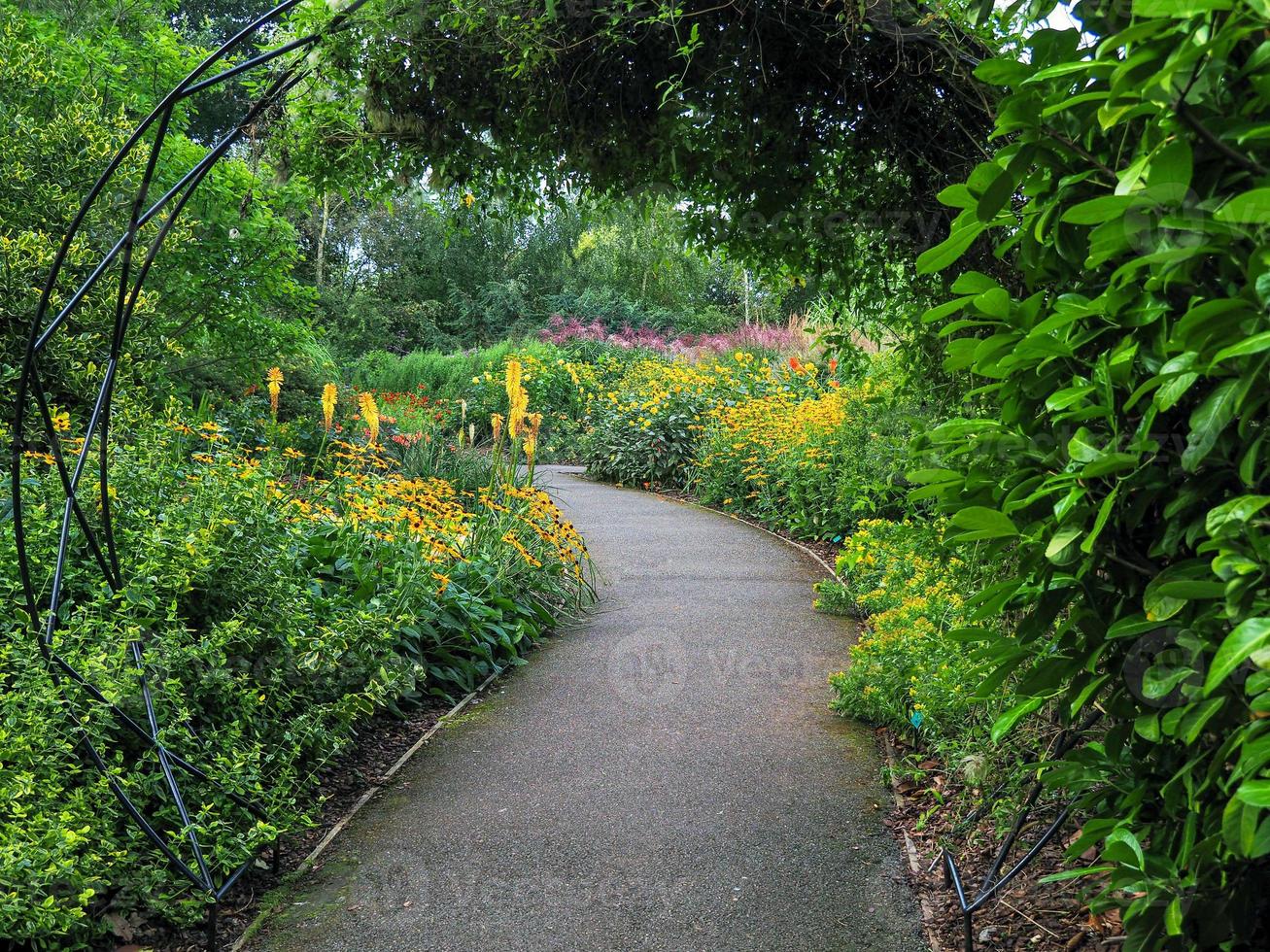 tuinpad door gemengde bloemenborders foto