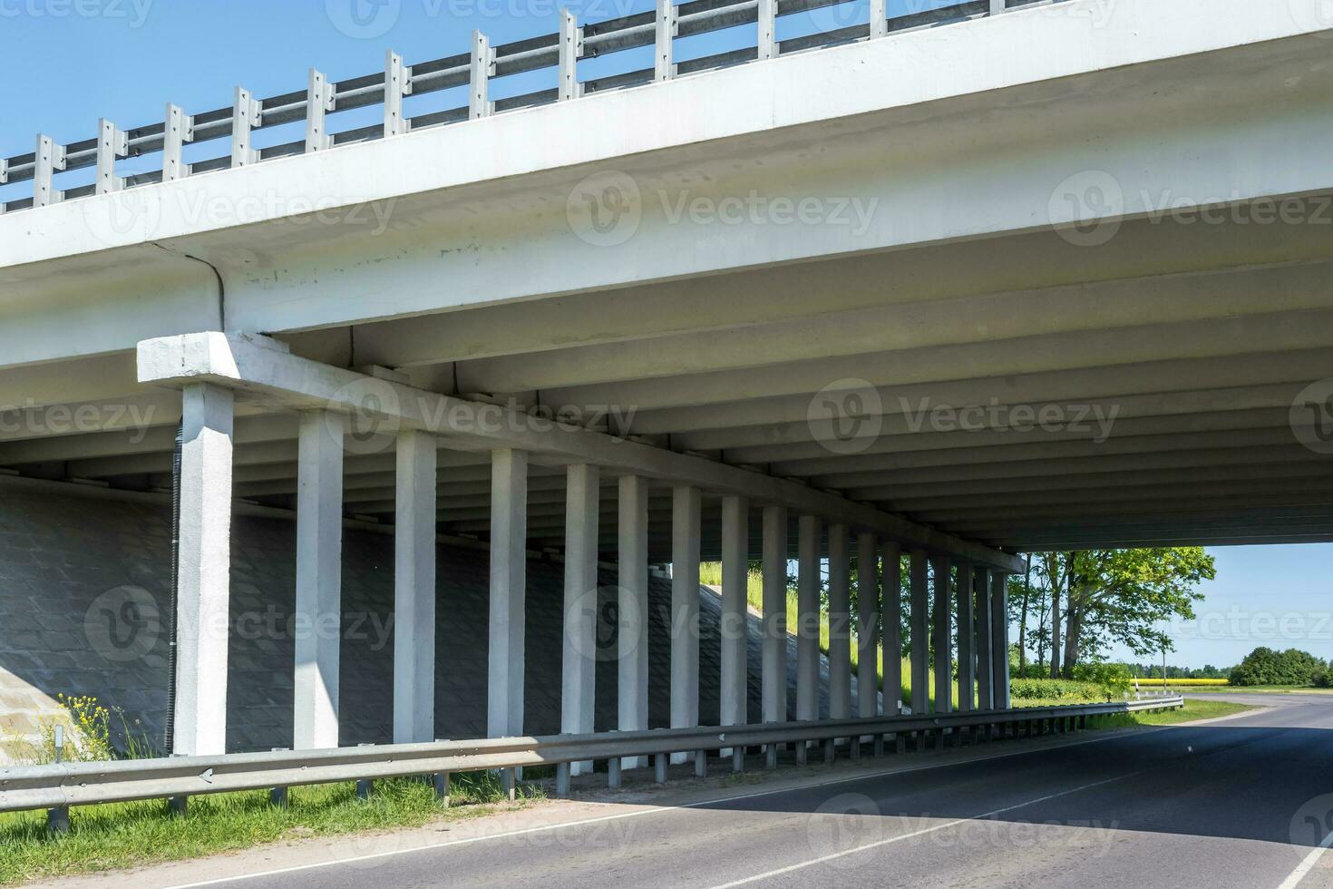 beton kolommen Leuk vinden pijlers van een auto- brug foto