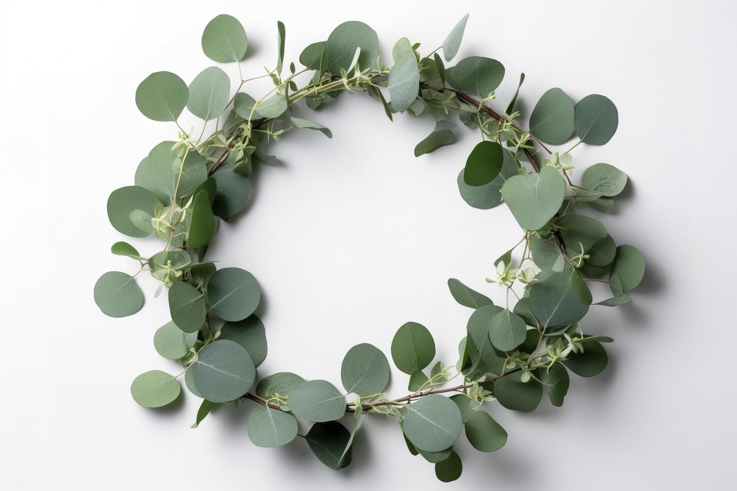 krans gemaakt van eucalyptus takken. groen bloemen kader gemaakt van eucalyptus bladeren. decoratief krans geïsoleerd Aan wit. minimaal natuurlijk samenstelling, botanisch ontwerp, vlak leggen, top visie. ai gegenereerd foto