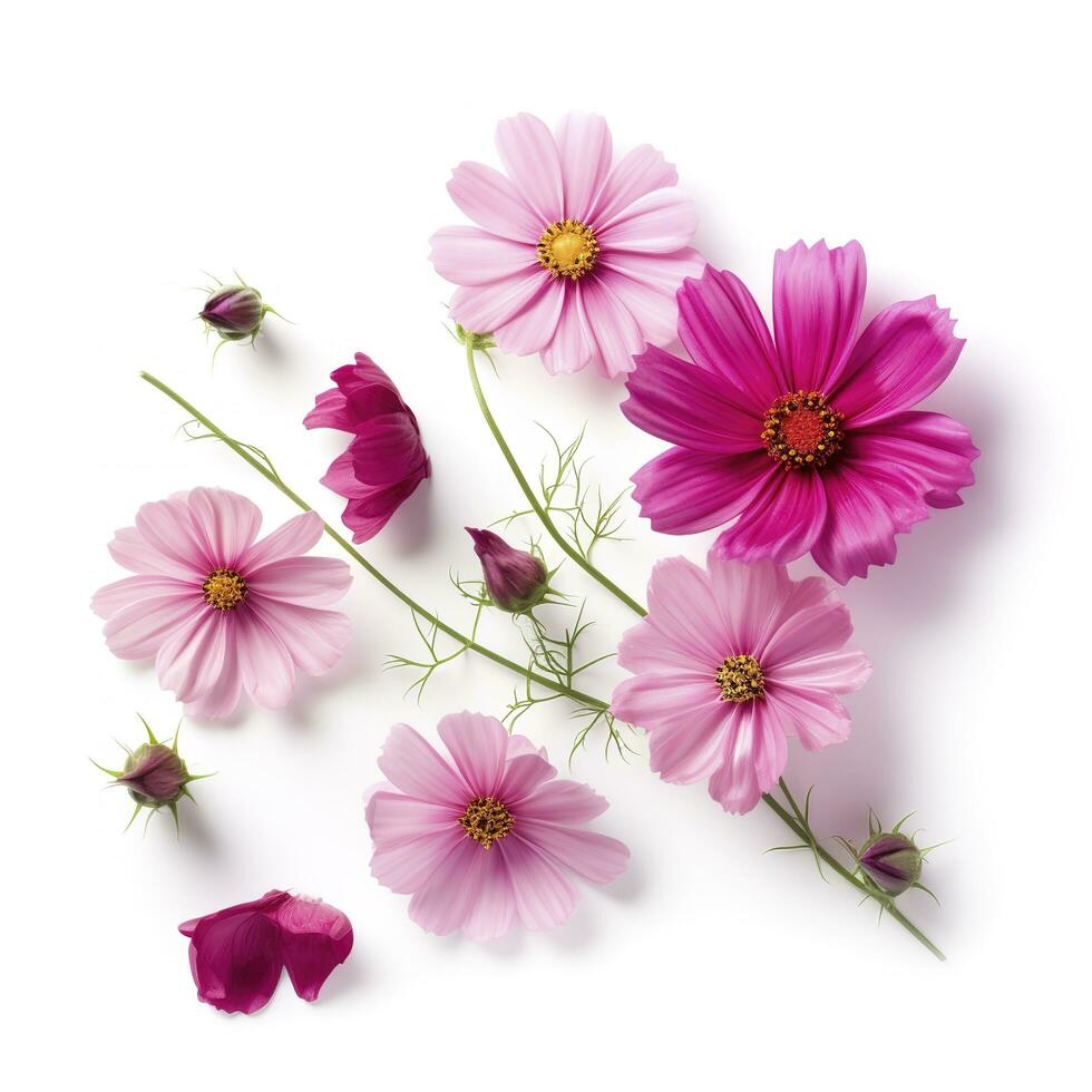 roze bloemen geïsoleerd Aan wit achtergrond, genereren ai foto