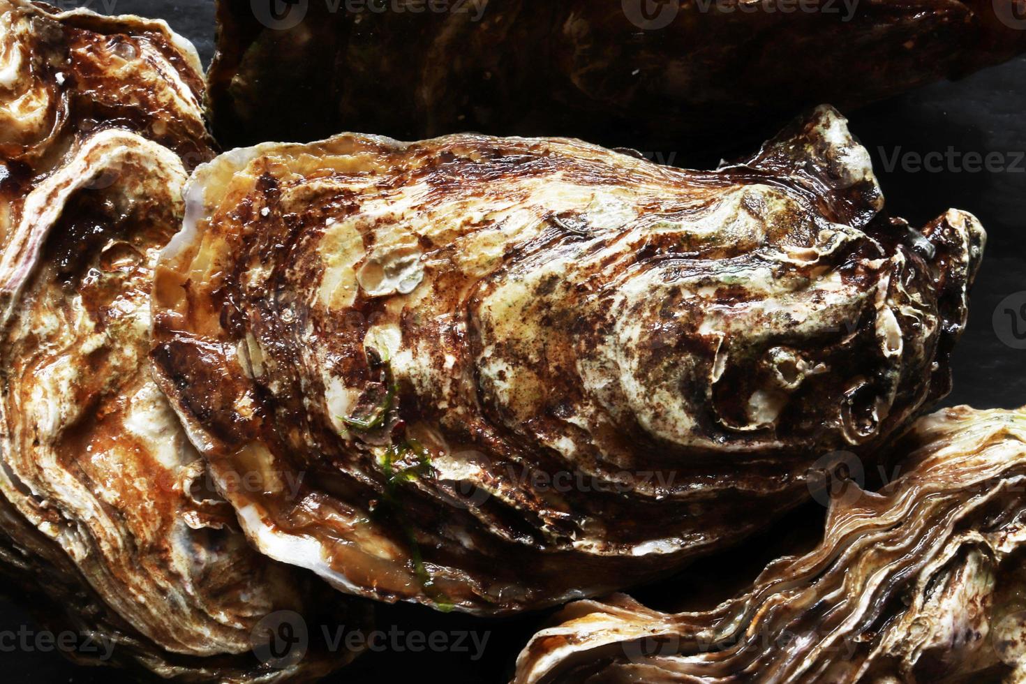 fotografie van oesters op leisteenachtergrond voor voedselillustratie foto