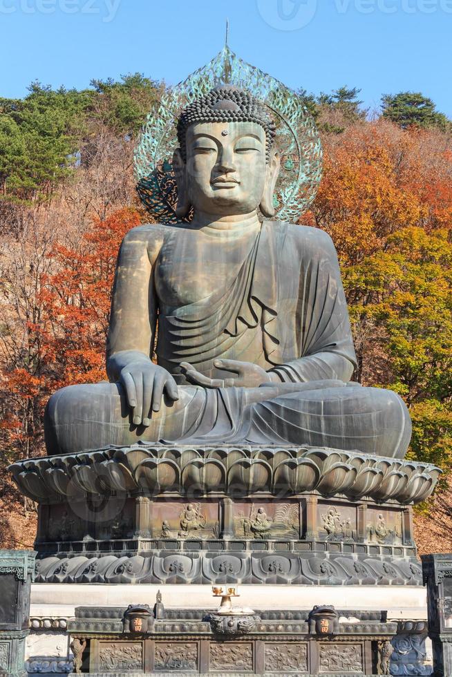 standbeeld van boeddha in seoraksan national park zuid-korea foto