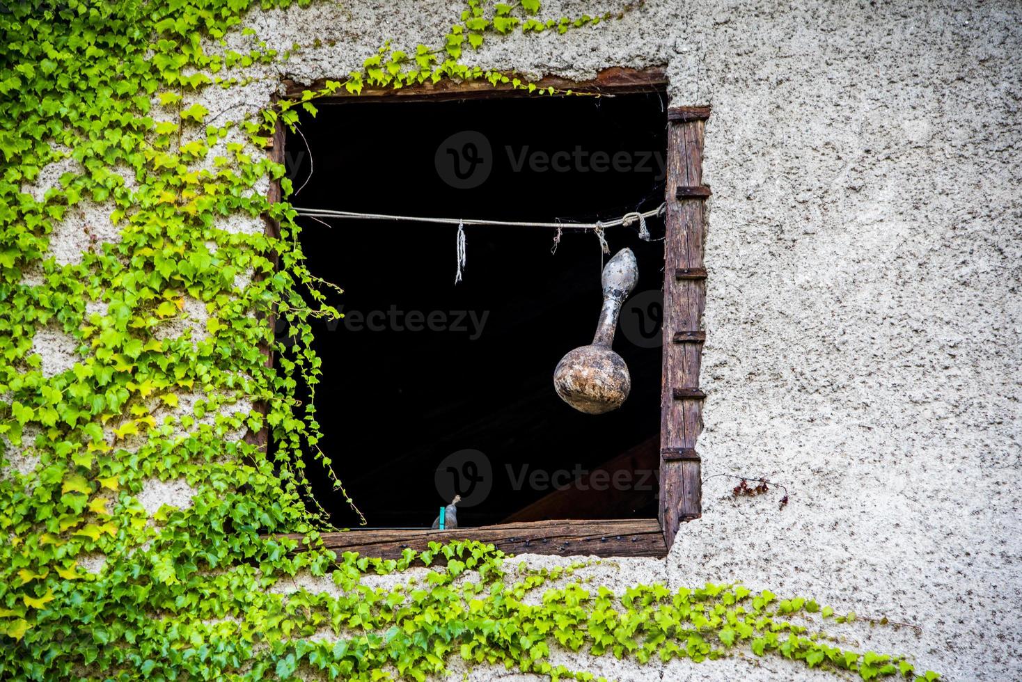 wijnzak opknoping van het open raam in caldaro bolzano, italië foto