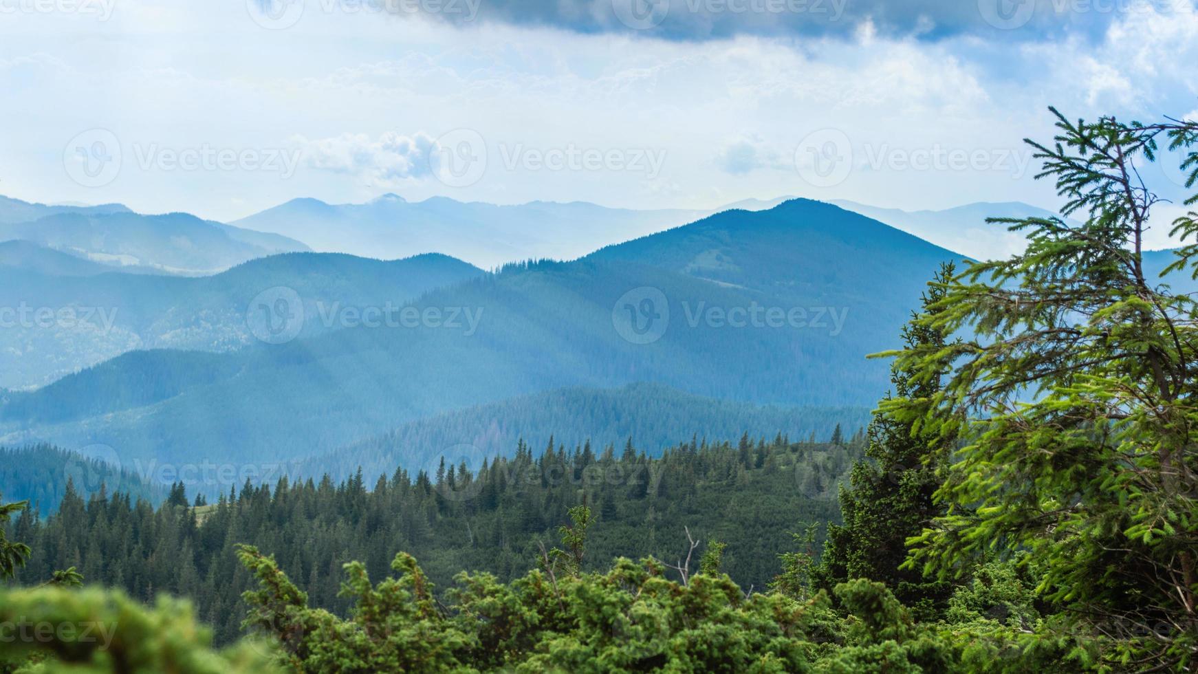 Karpatenpanorama van groene heuvels in de zomerberg foto