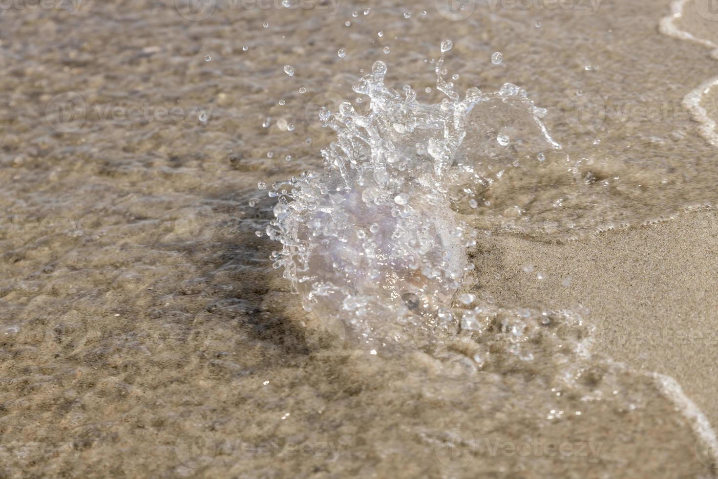 kwallen bevindt zich op het duitse strand van de Oostzee met golven foto