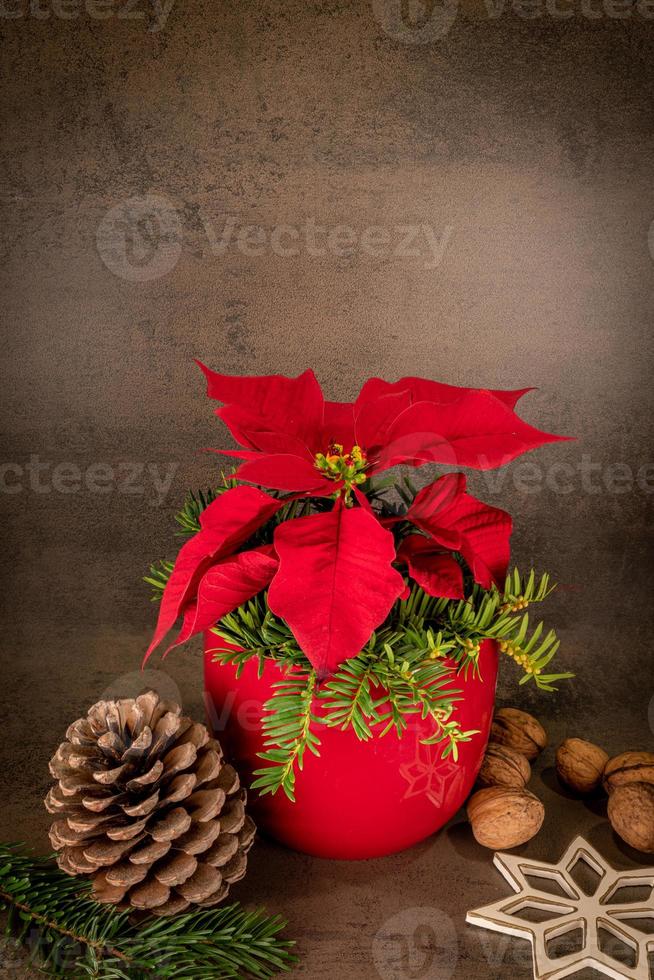 kerstster in een rode pot staat tegen een grijze achtergrond versierd met dennenappels en een stroster foto