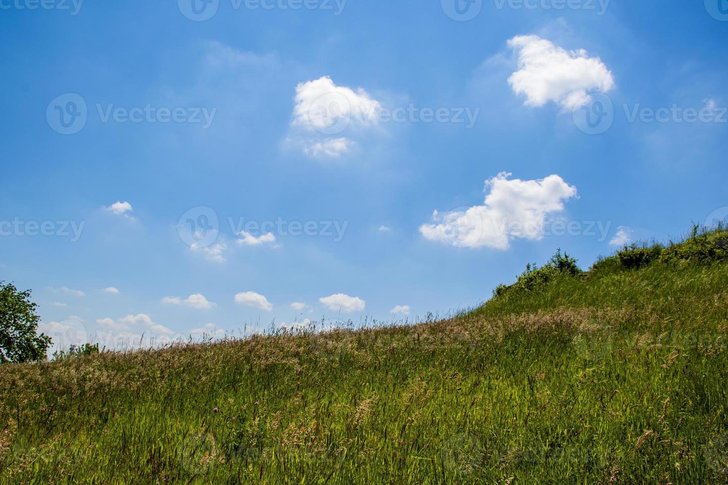 groene weide en blauwe hemel foto