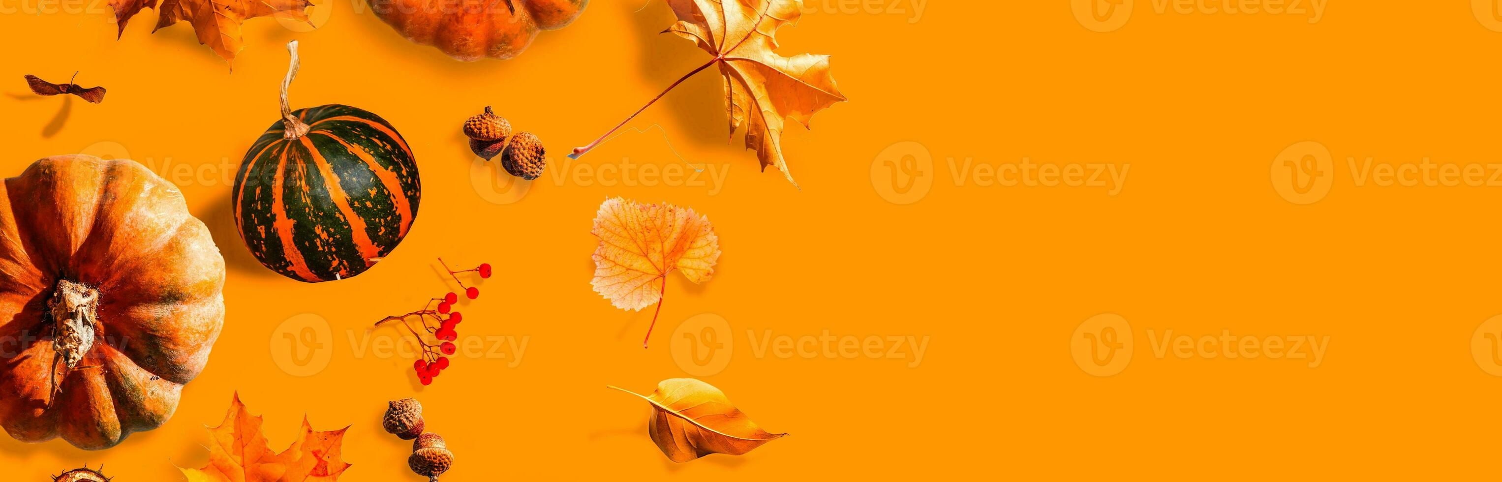 herfst tafereel met pompoenen, halloween of dankzegging achtergrond, kopiëren ruimte foto