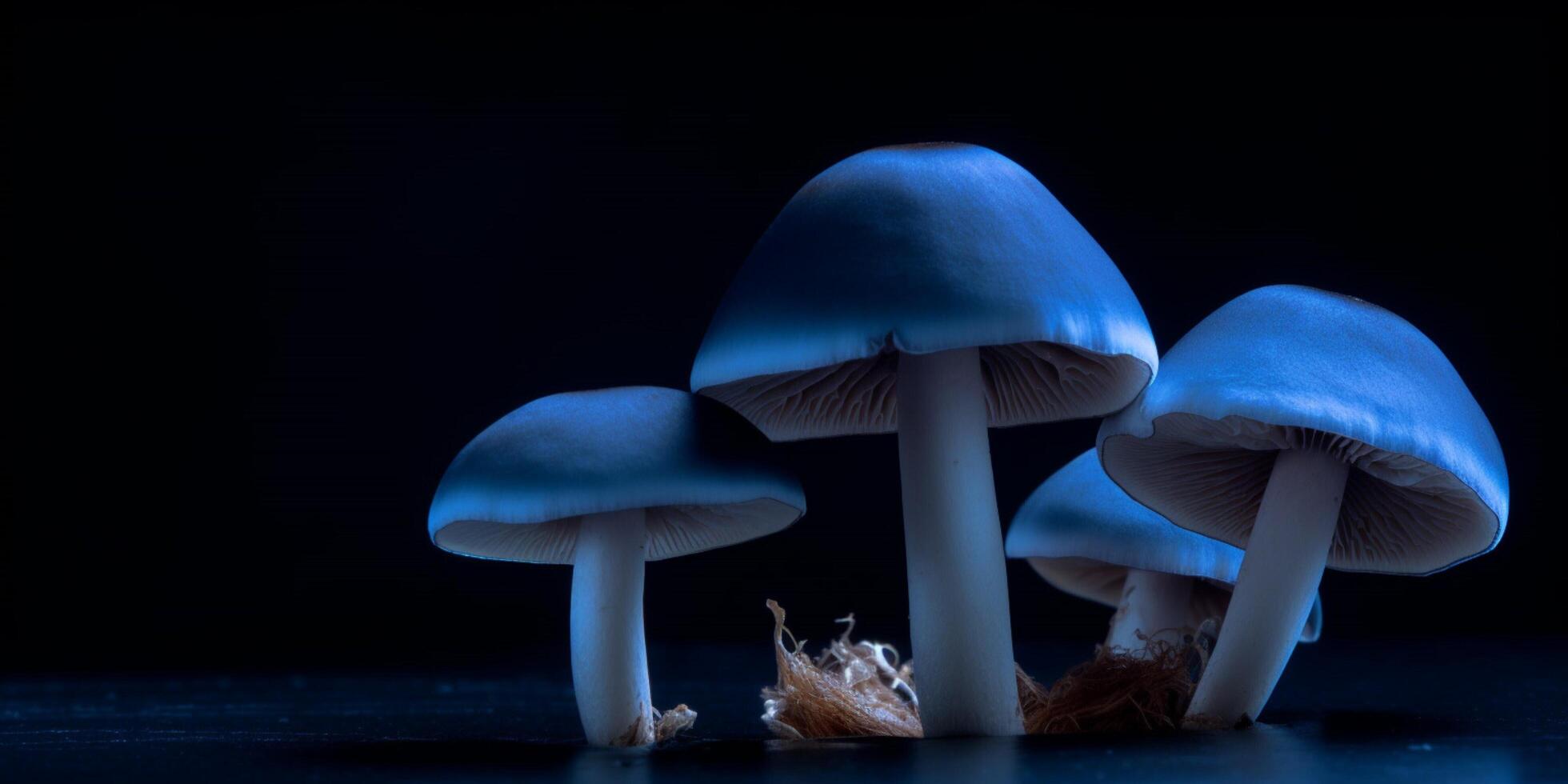 champignons in de donker met blauw achtergrond ai gegenereerd foto