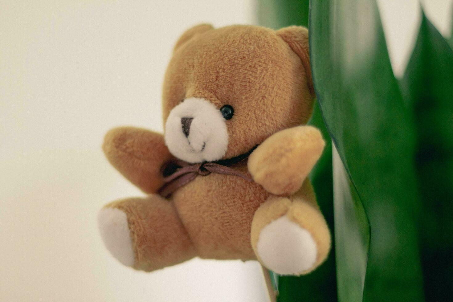 een teddy beer met een boog stropdas is hangende Aan een boom. foto