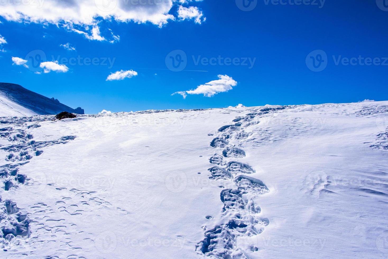 voetafdrukken in de sneeuw foto