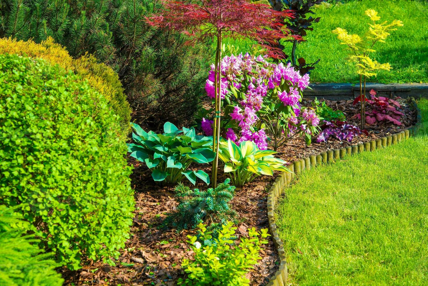 rotstuin tuin visie foto