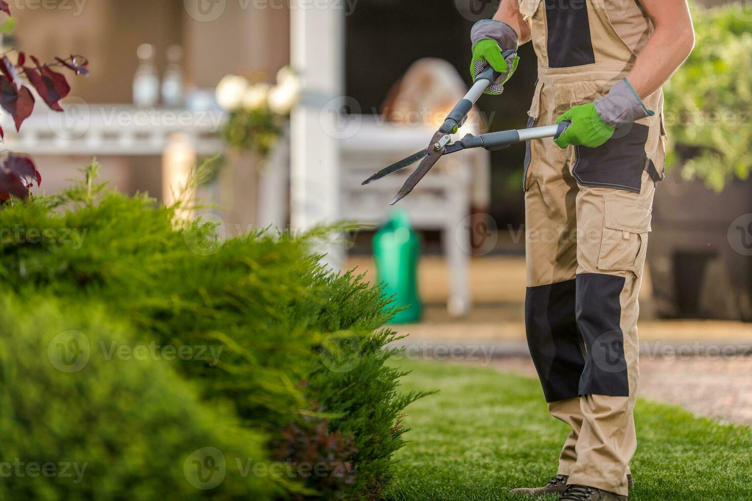 tuinman klaar naar gedroogde pruim planten foto