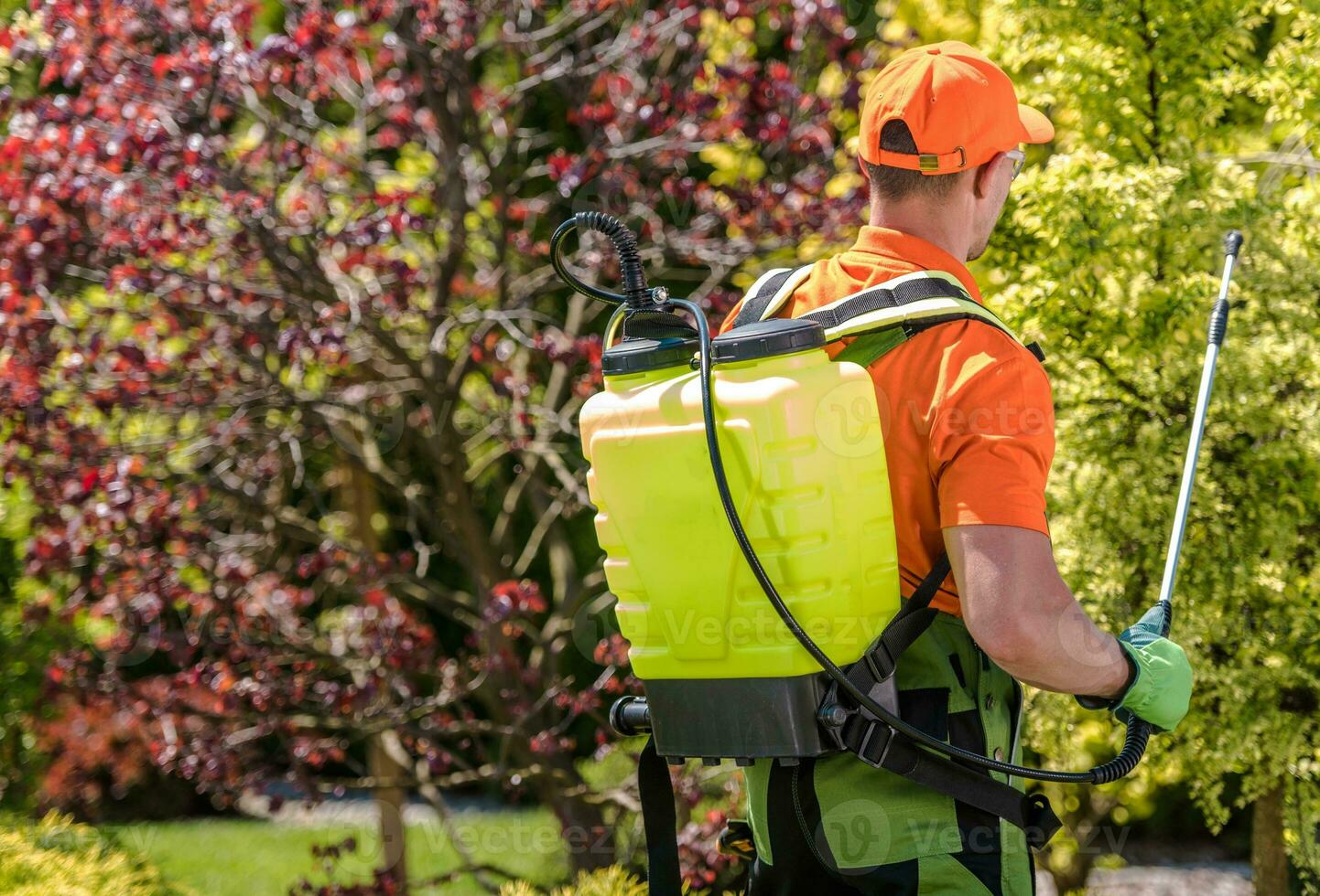 seizoensgebonden insecticide werk foto