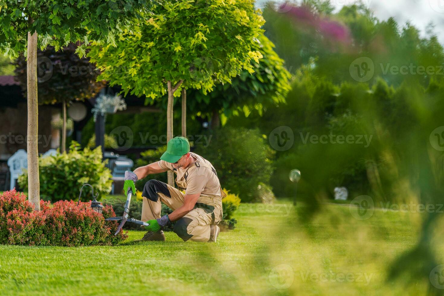 professioneel tuinman trimmen bloeiend struik foto