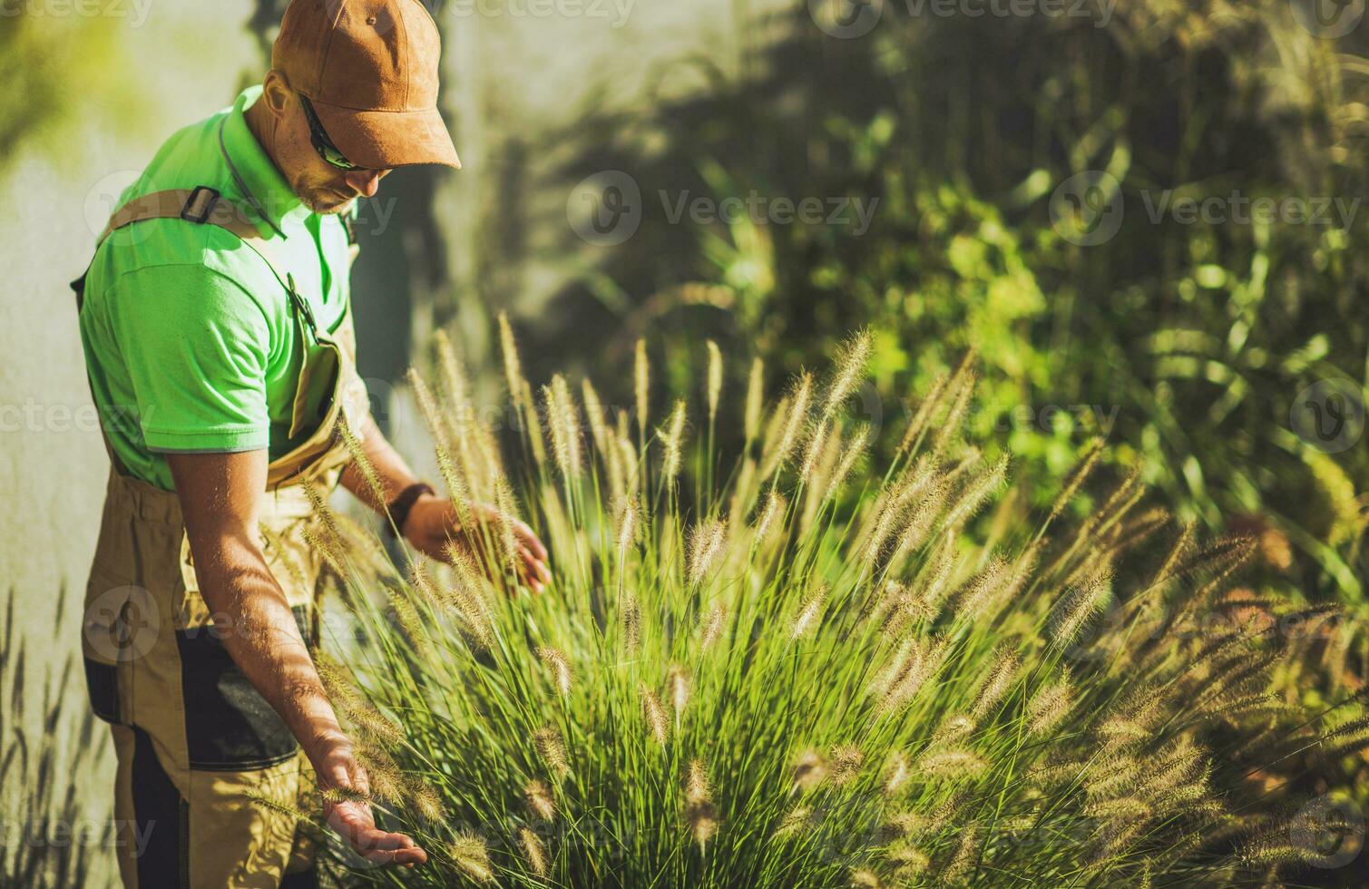 tuinman nemen zorg van decoratief tuin grassen foto