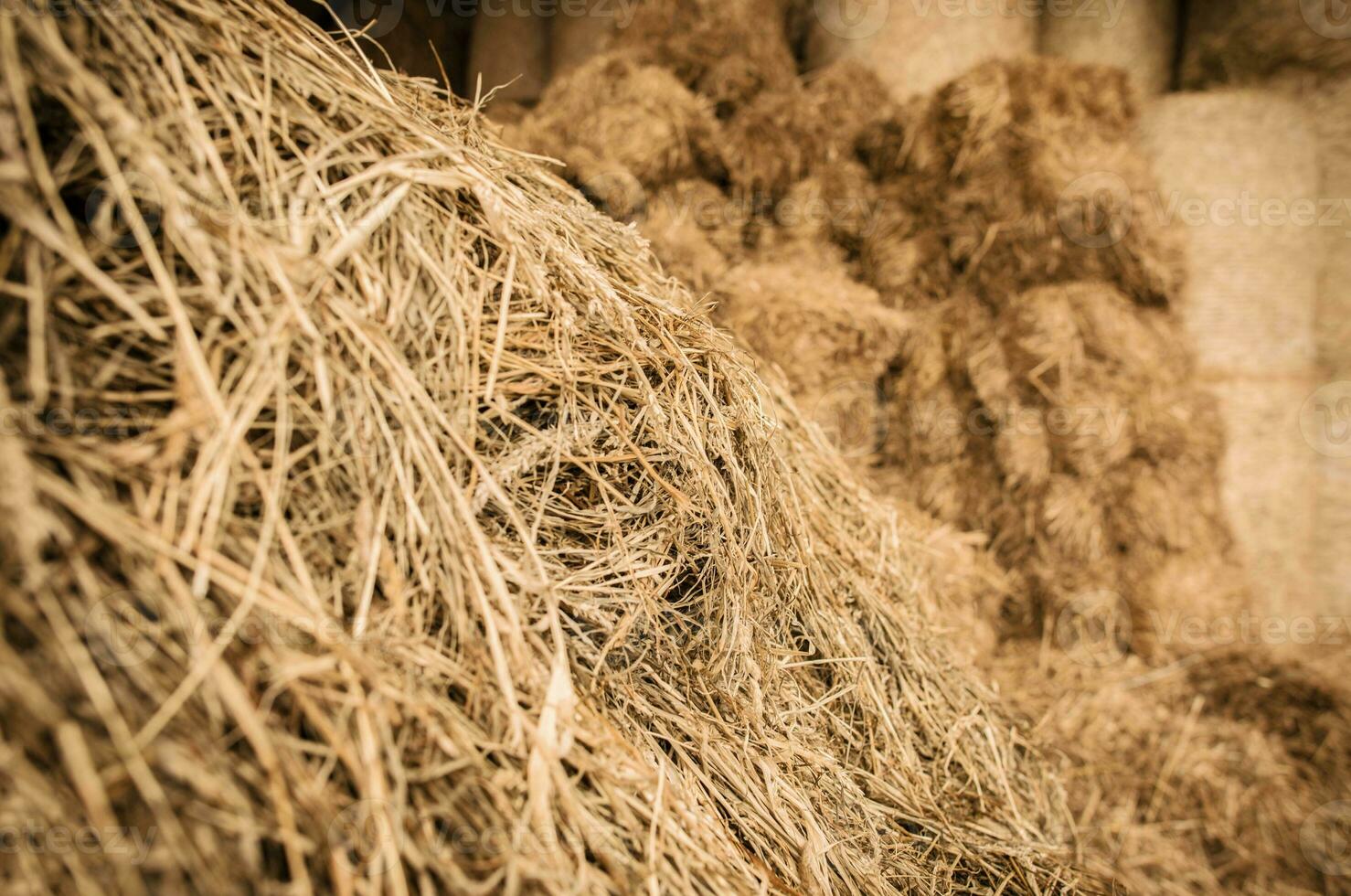 dichtbij omhoog van stack van hooi in schuur. foto